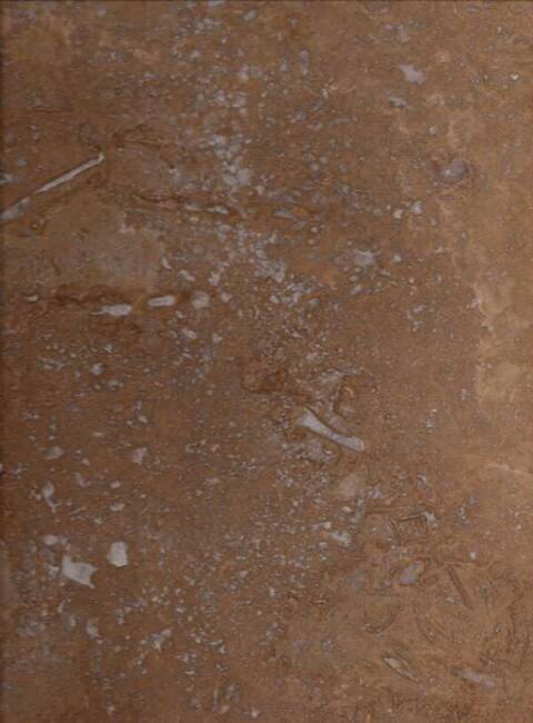 MARBLES TRAVERTINE NOCE CC - 1