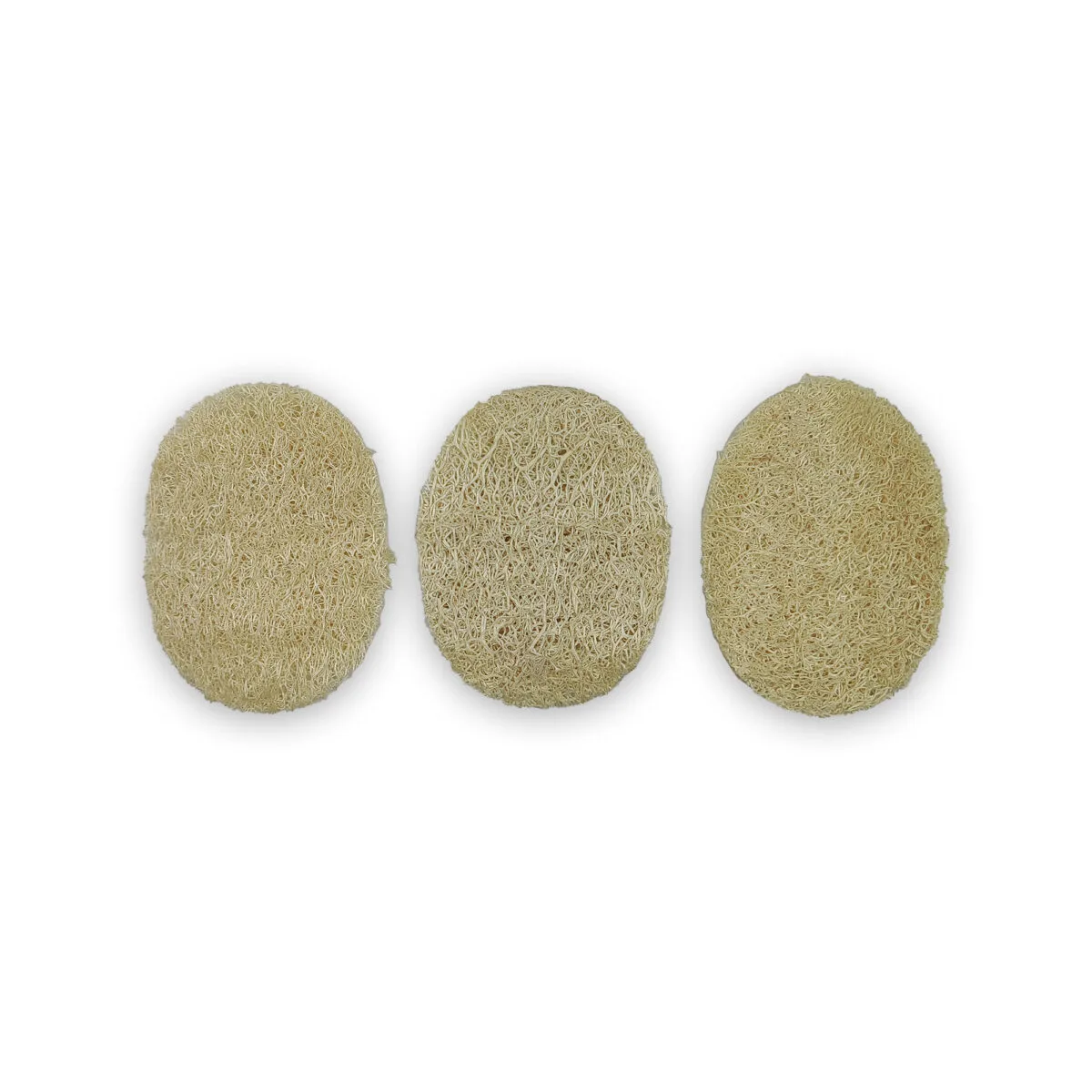 Pumpkin Peeling Disc Lofaah (3 PCS) BL-1059 - Image 3
