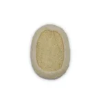 Pumpkin Oval Loofah BL-1066